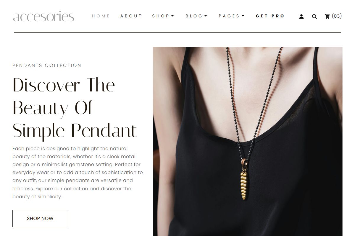 Accesories Jewelry Shop Ecommerce
