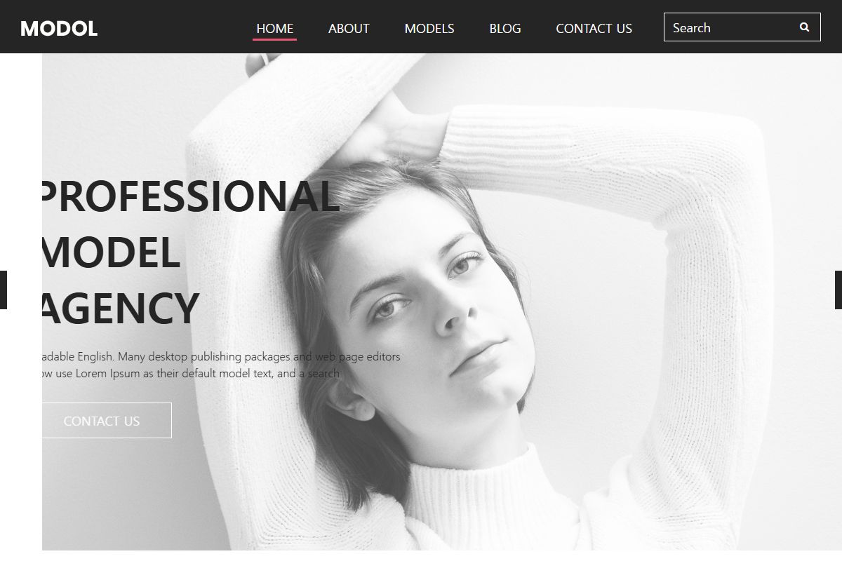 Professional Model Agency