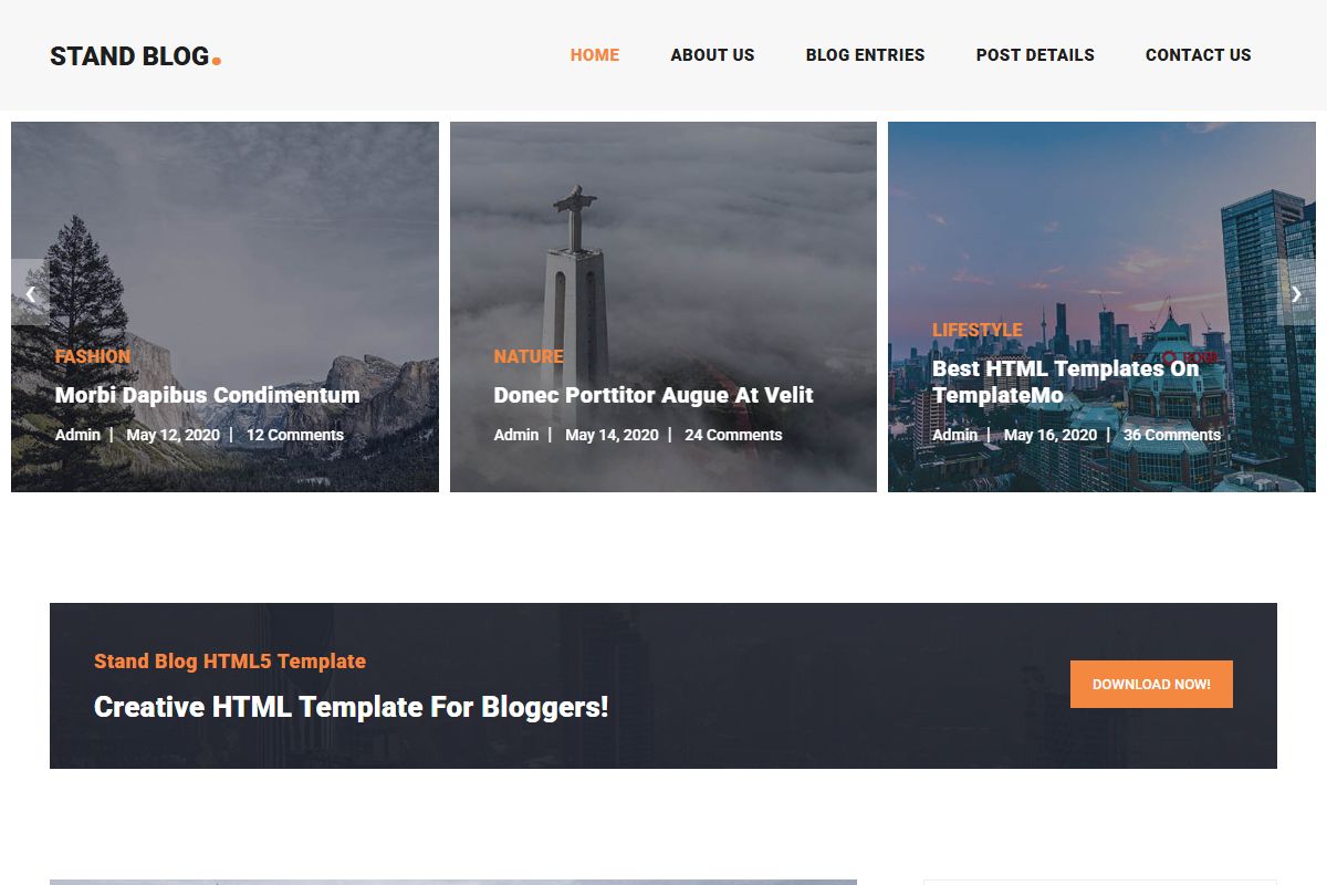 Stand Css Blog By Templatemo