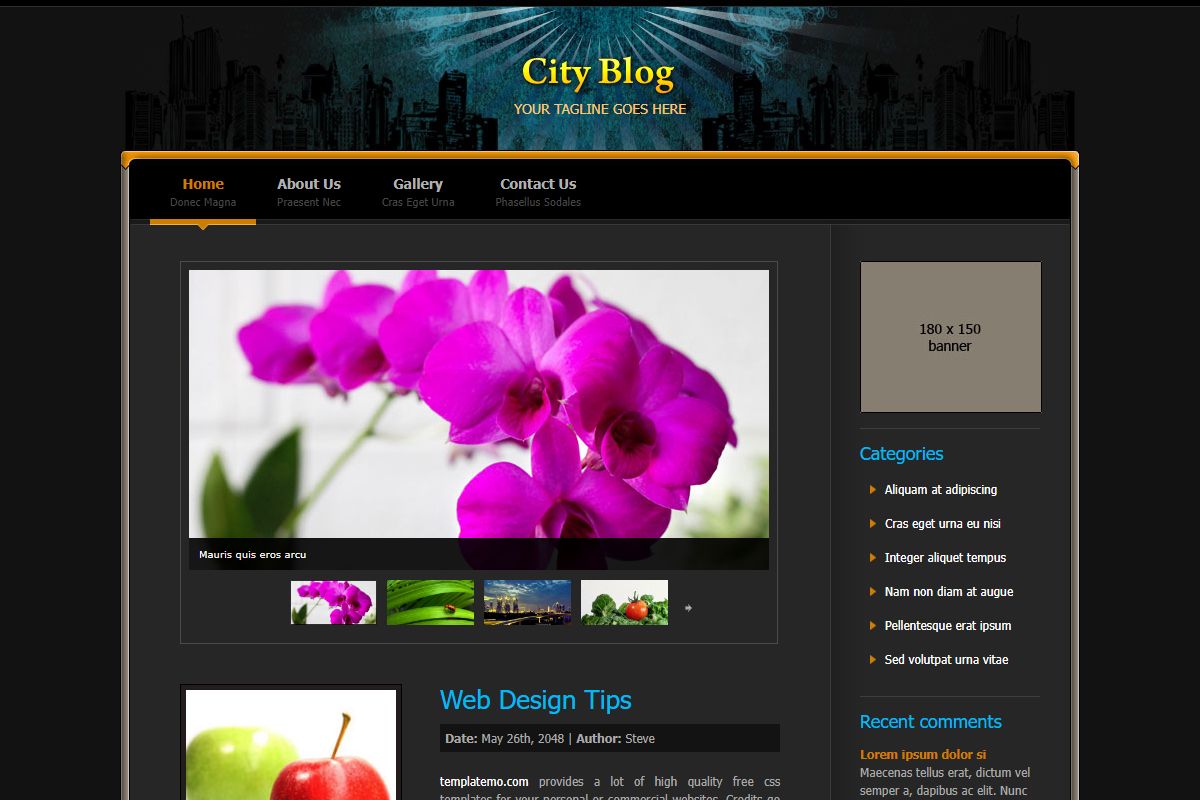 City Blog Css Template