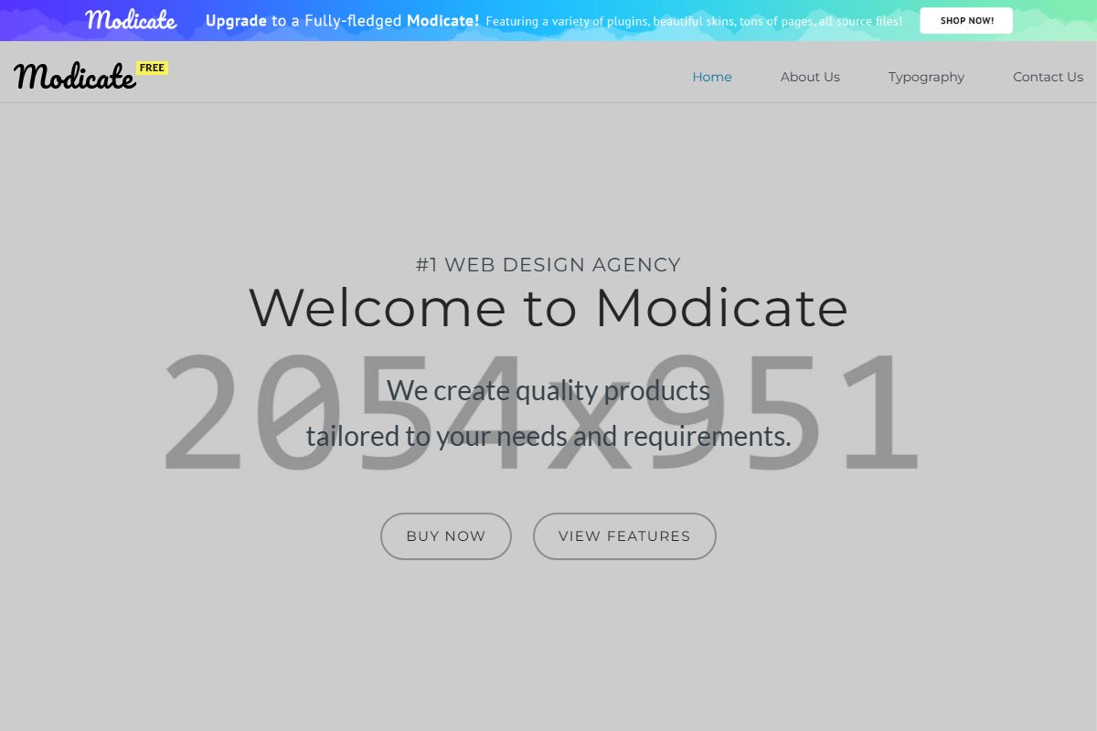 1 Web Design