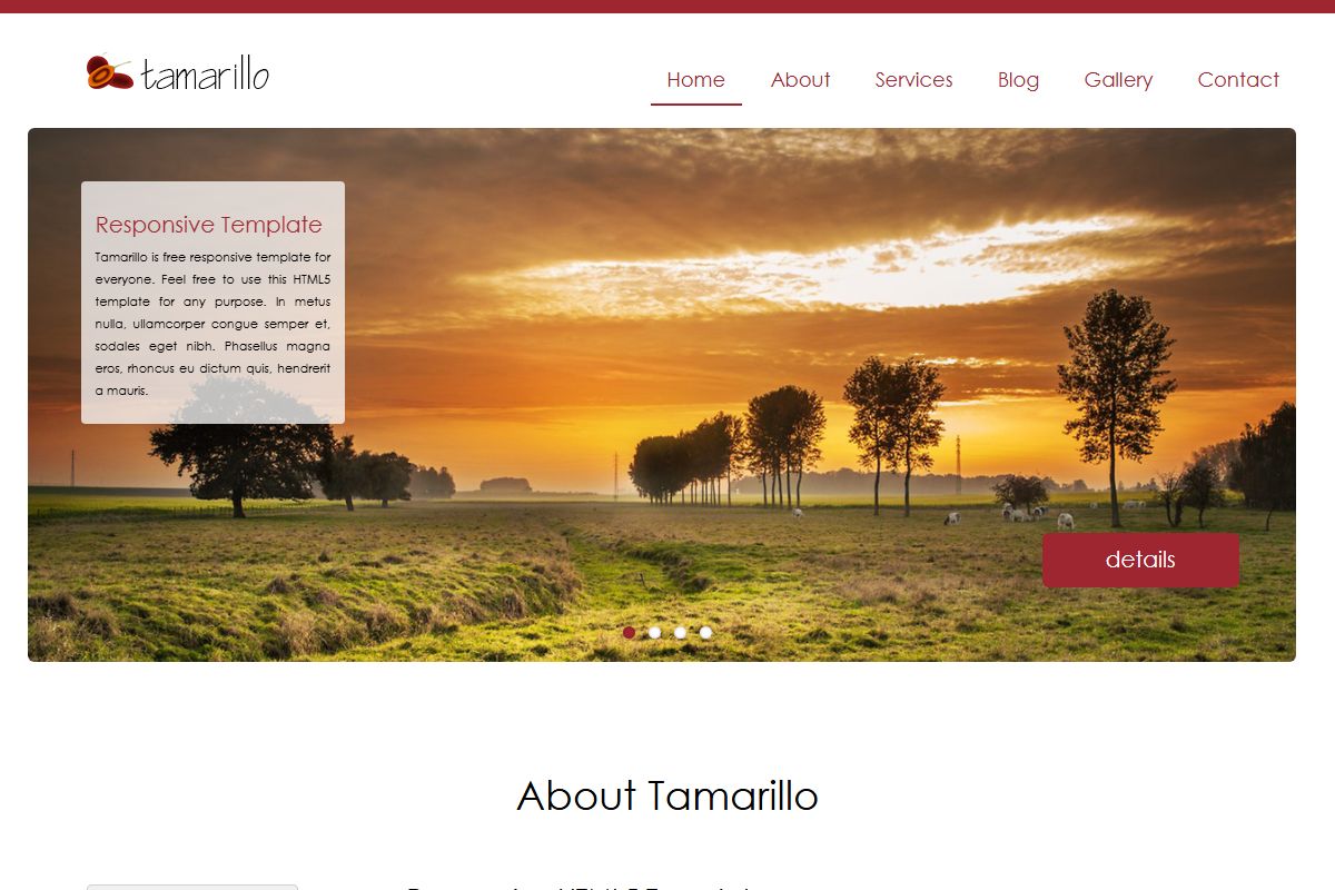 About Tamarillo