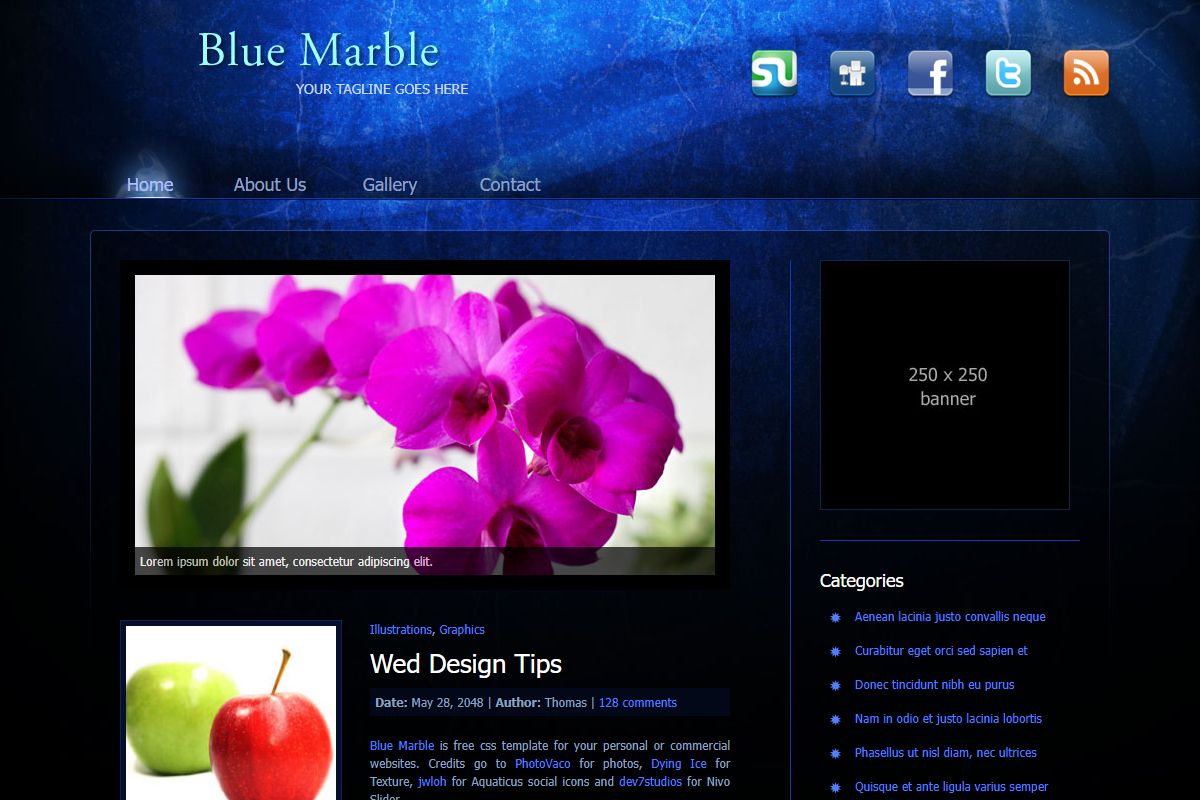 Blue Marble Css Template