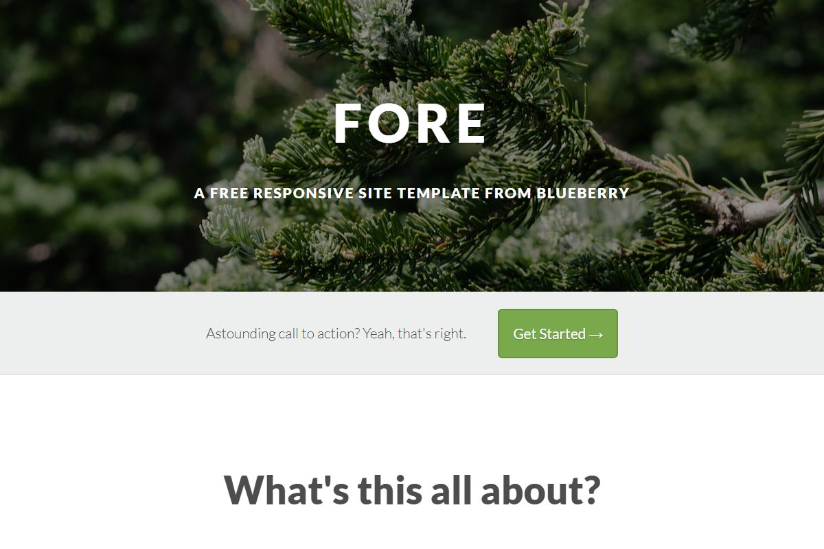 Fore