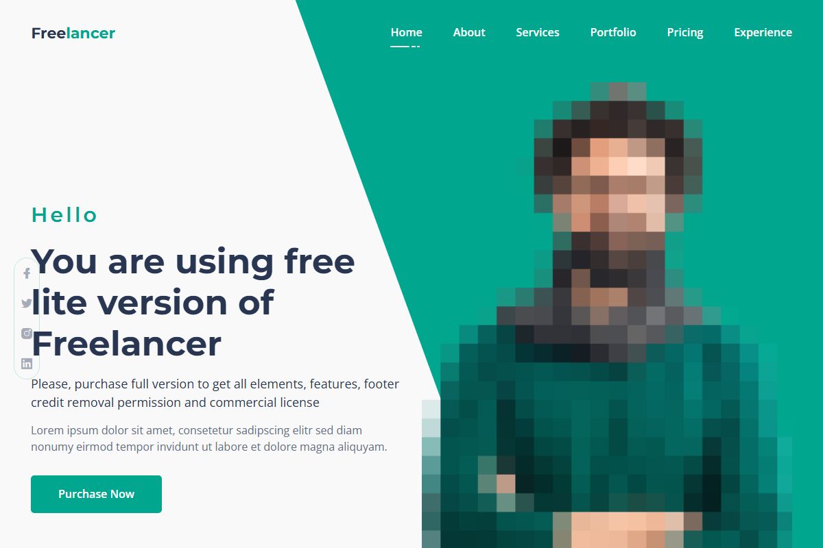 Freelancer Cv And Portfolio Template