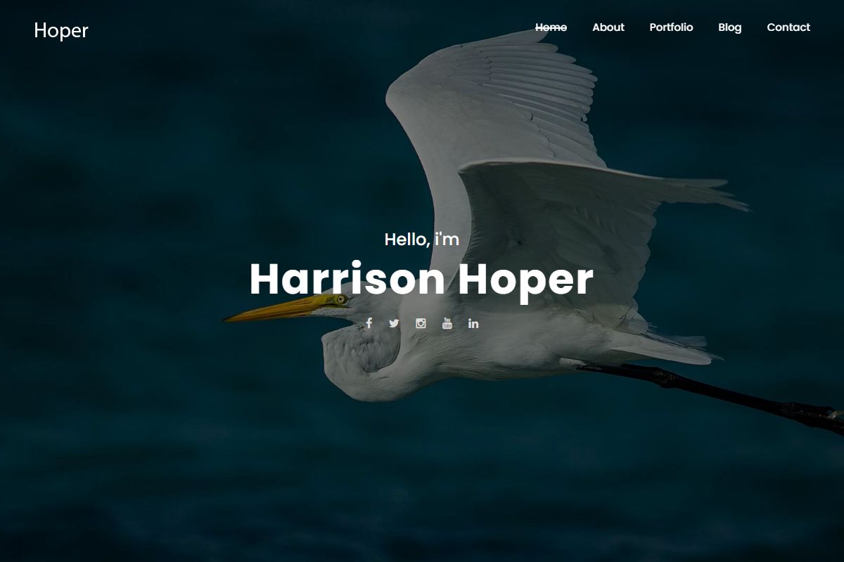 Harrison Hoper