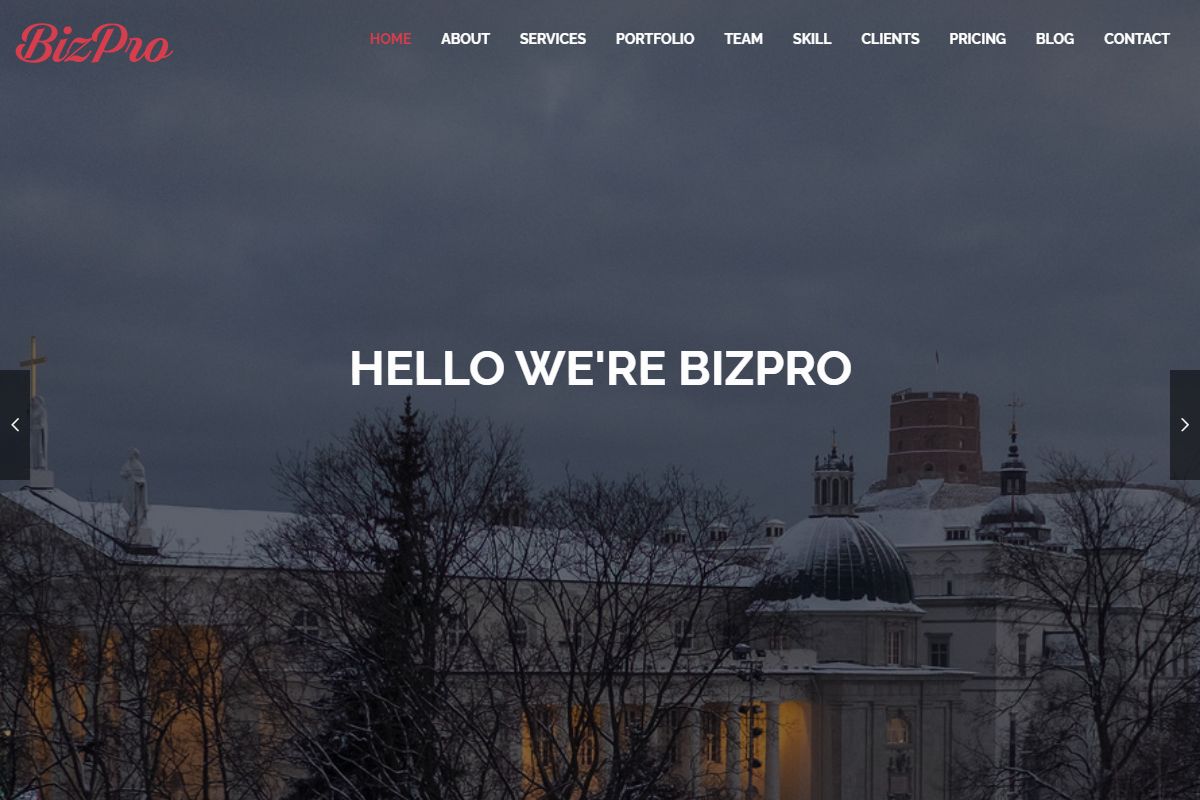 Hello Were Bizpro