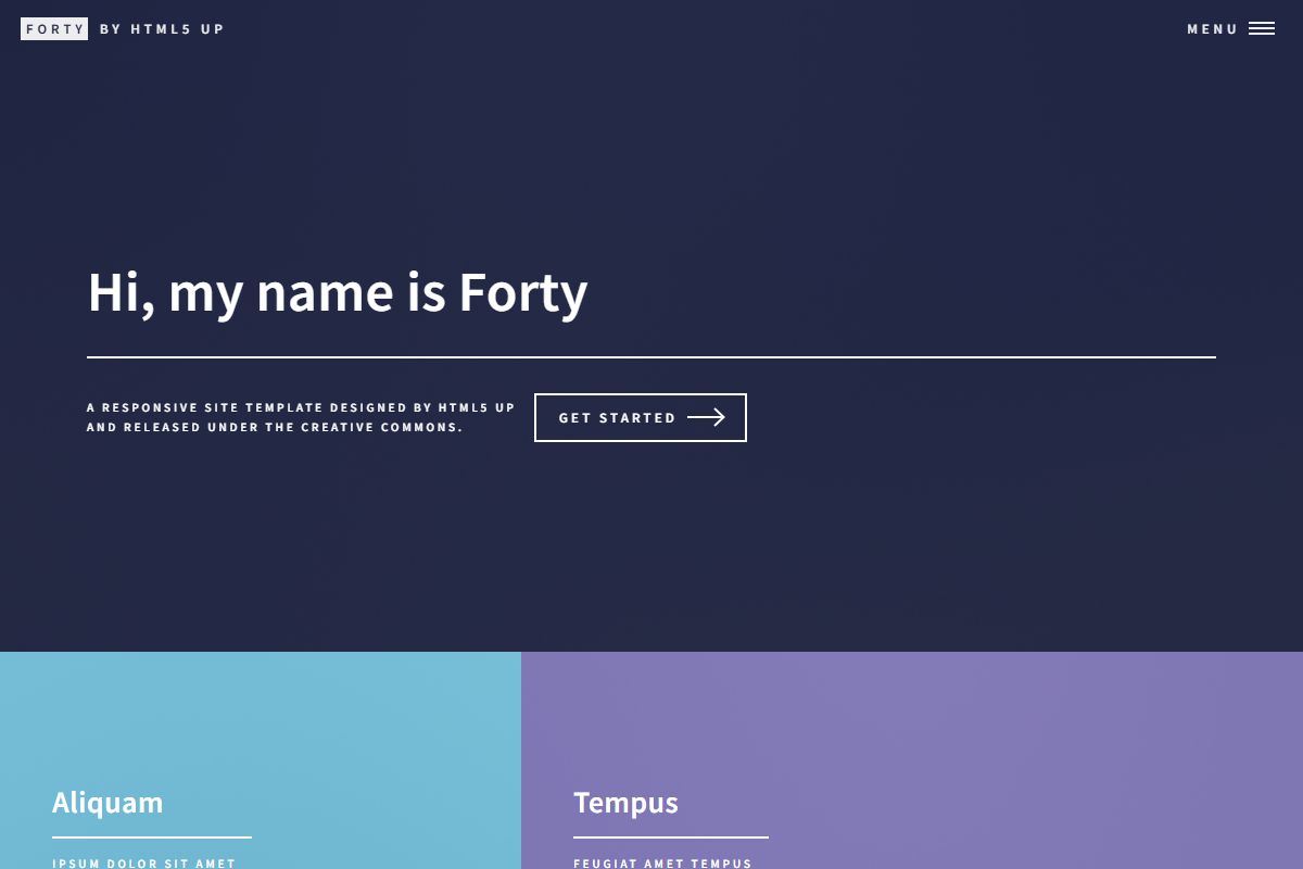 Hi My Name Is Forty