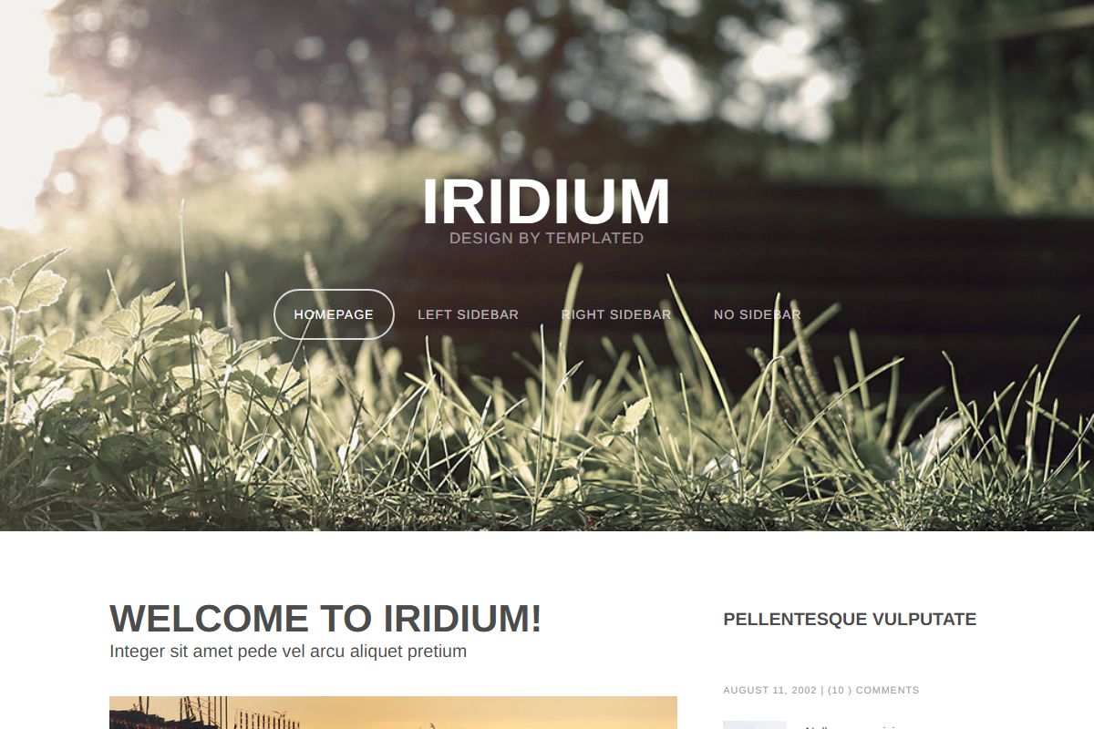 Iridium