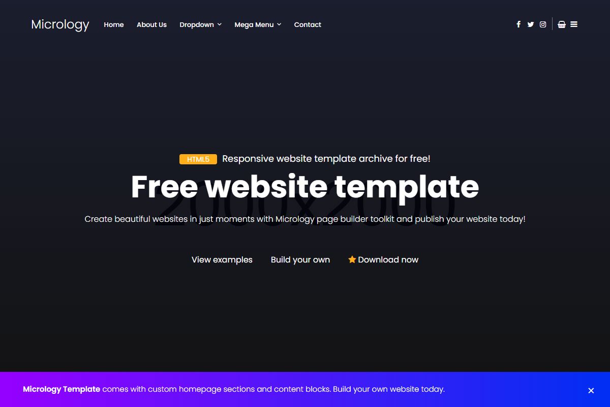 Micrology Free Website Template