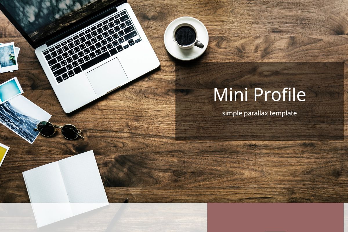 Mini Profile