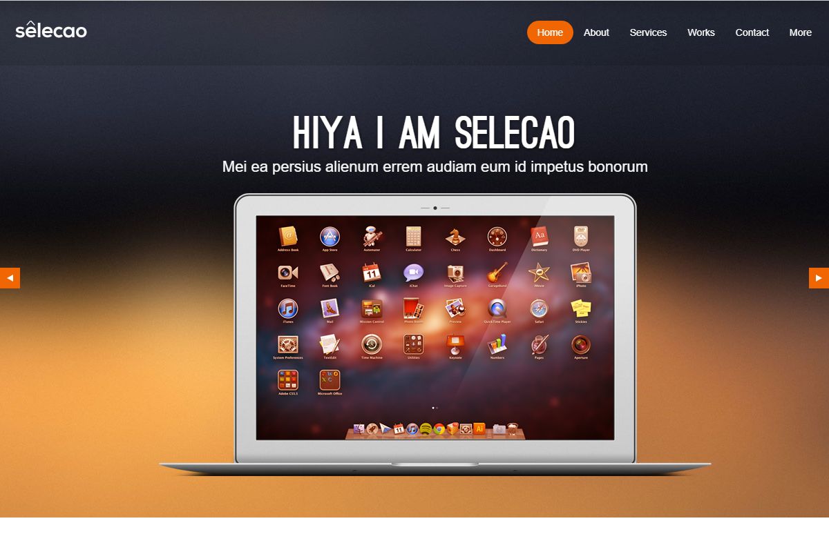 Selecao One Page Site Template With Bootstrap