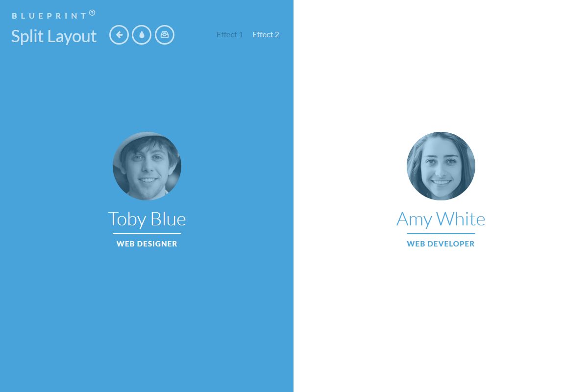 Split Layout
