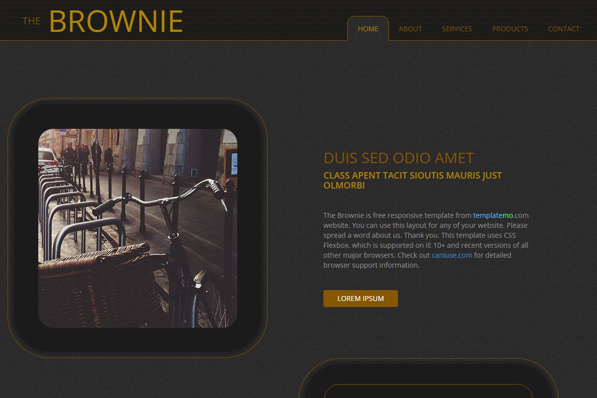 The Brownie