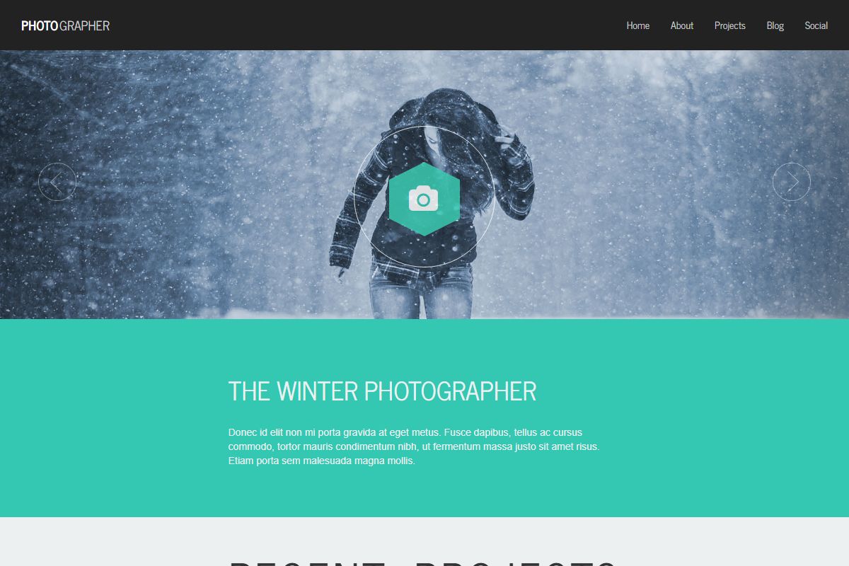 The Winter Photographer