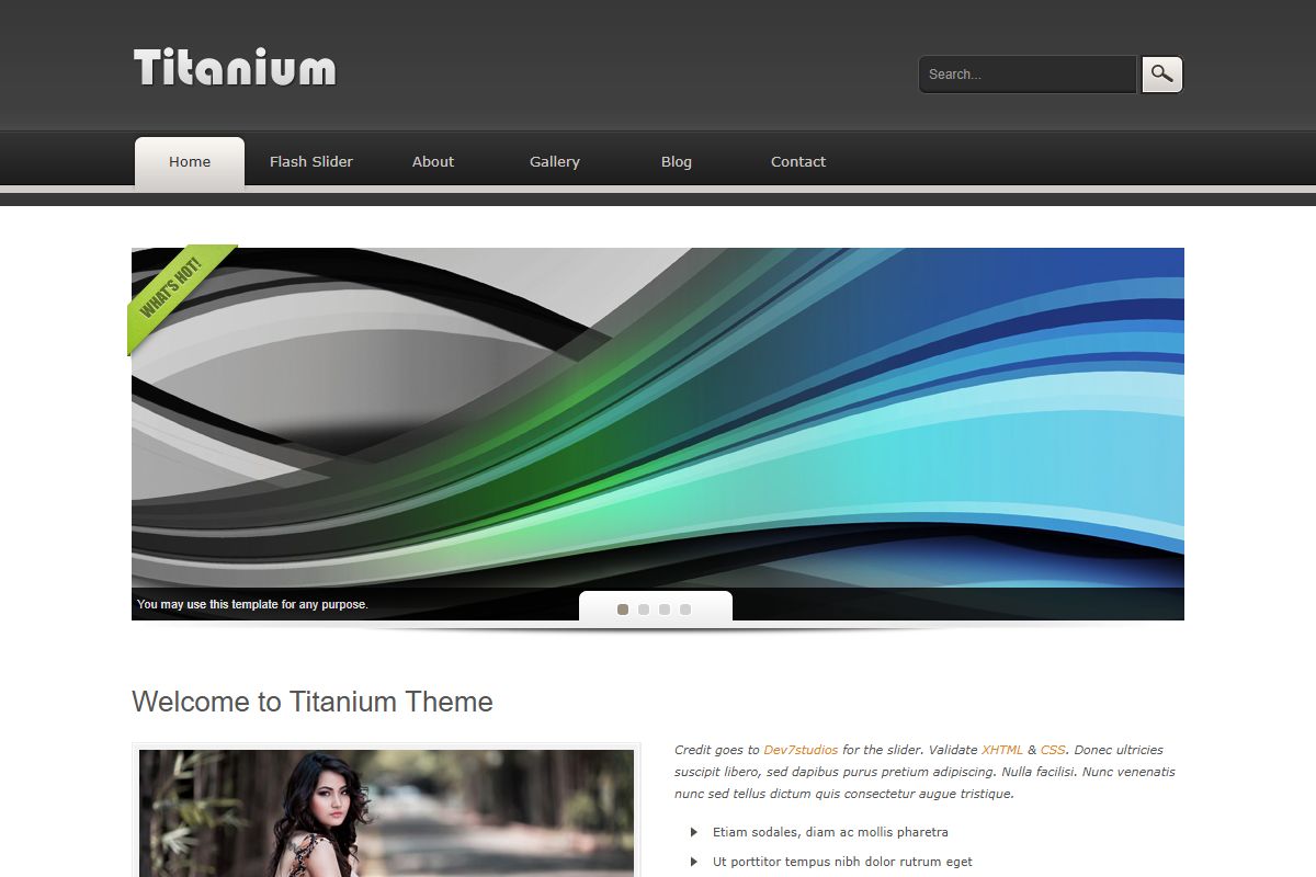 Titanium By Templatemo