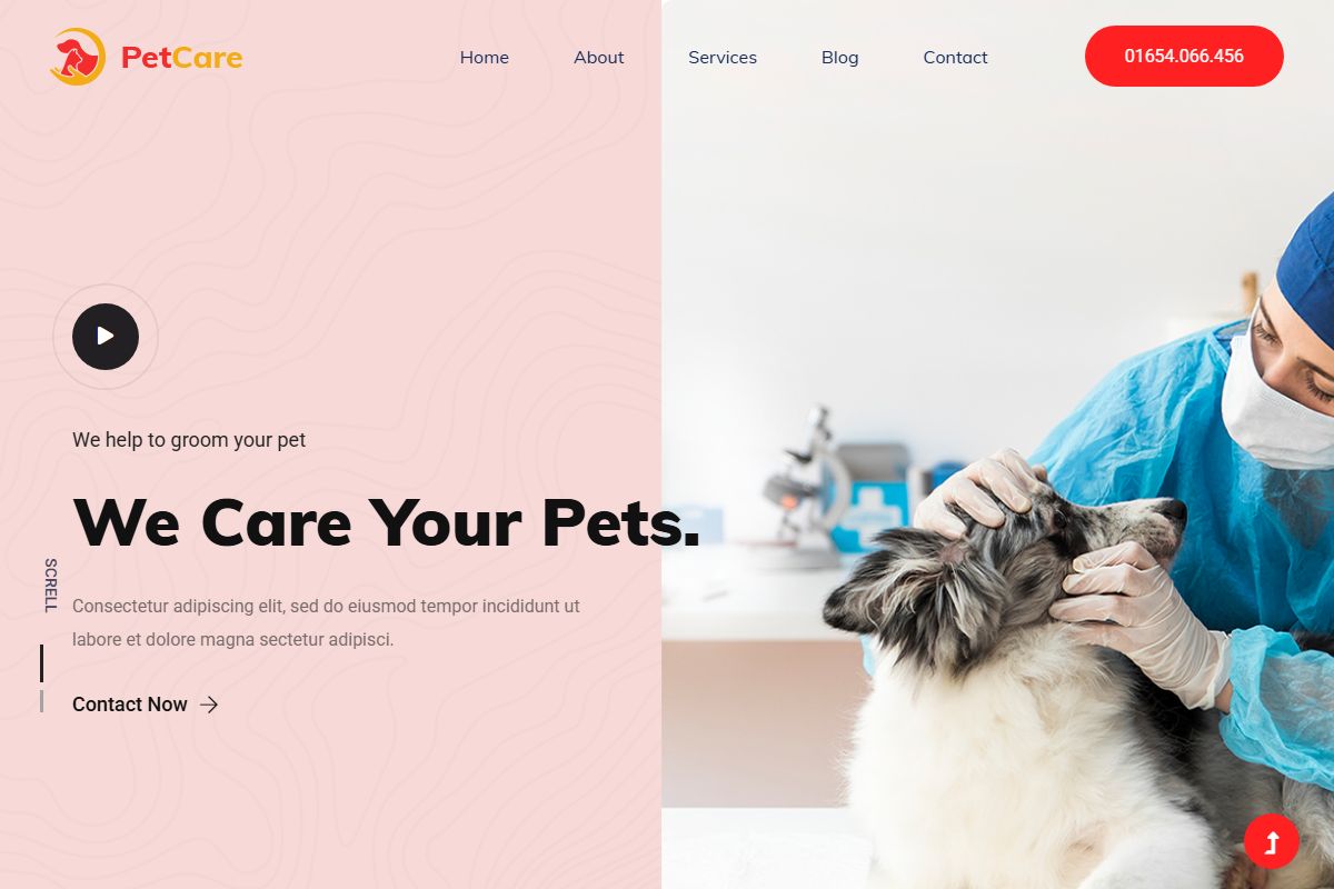 We Care Your Pets