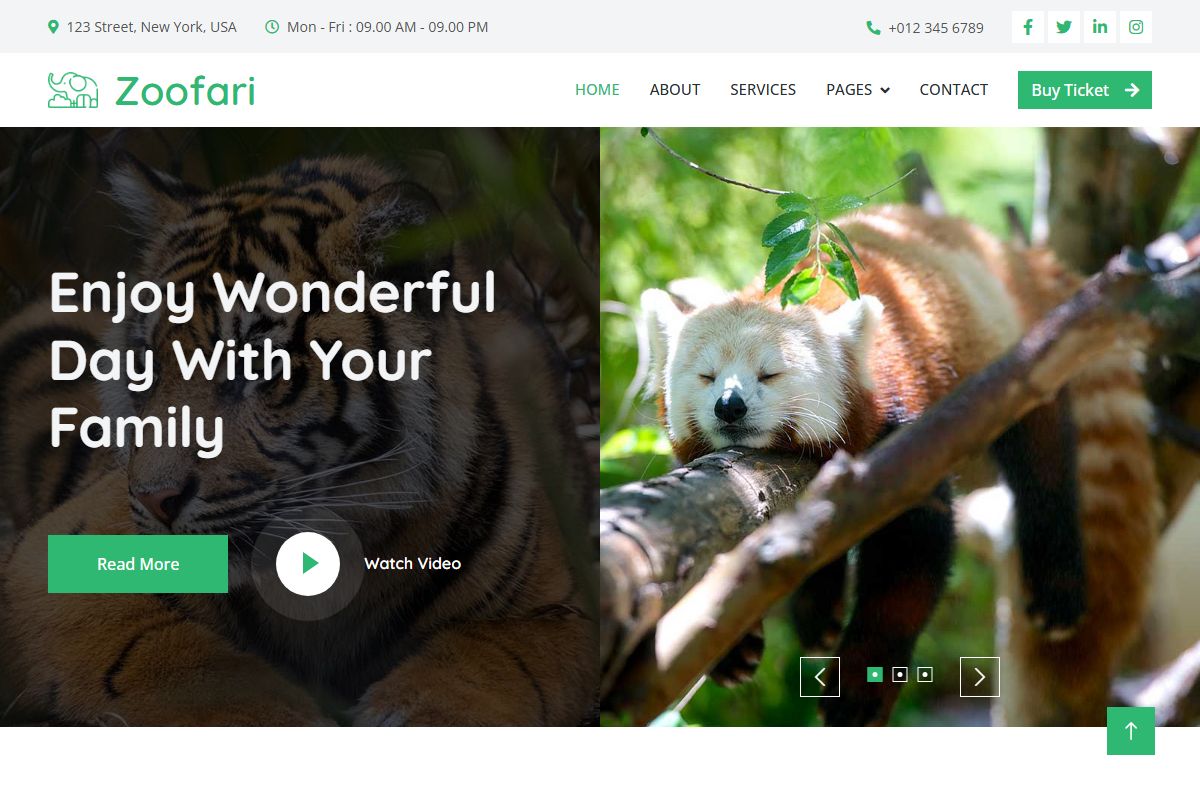 Zoofari