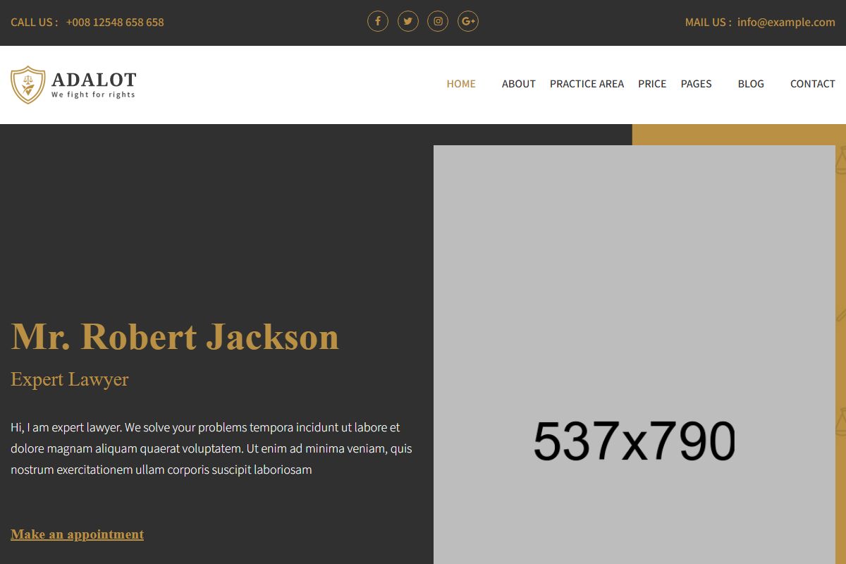 Mr Robert Jackson