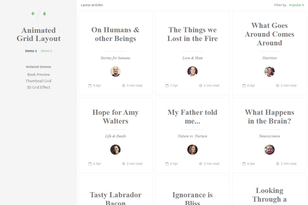 Animated Grid Layout
