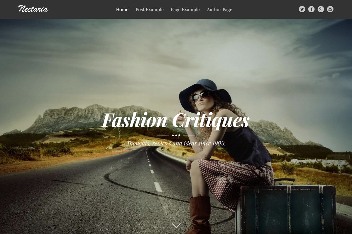 Fashion Critiques