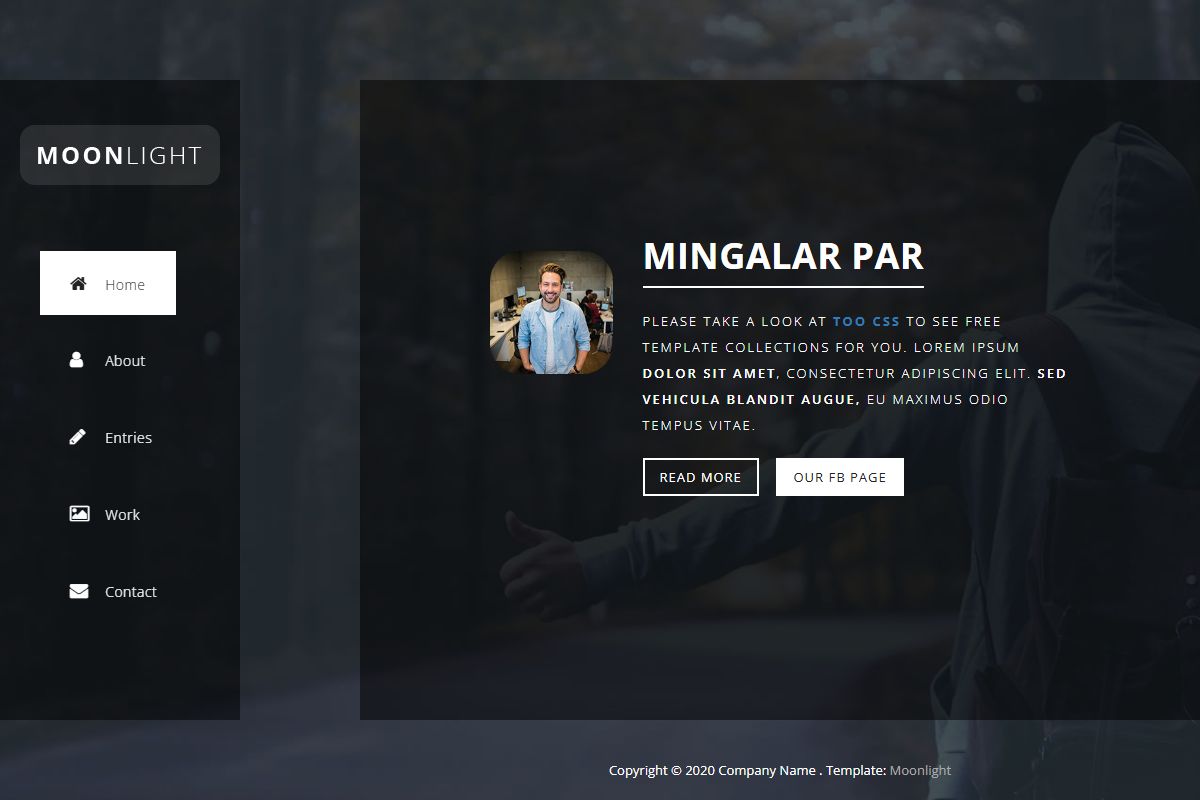 Moonlight Css Website Template