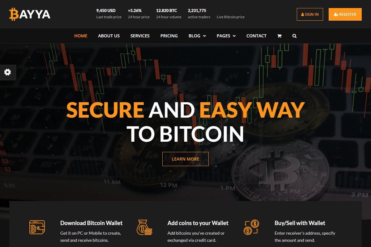 Bayya Bitcoin Crypto Currency