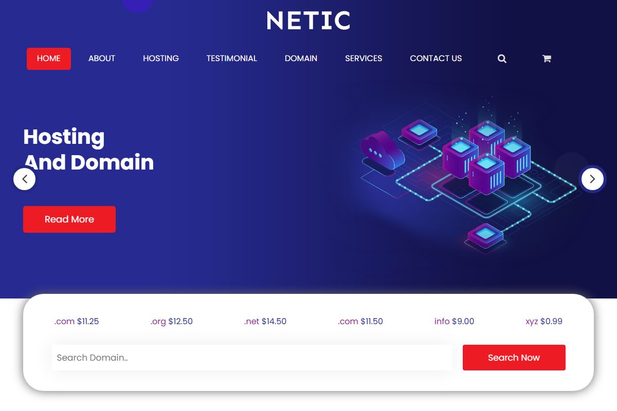 Hosting And Domain