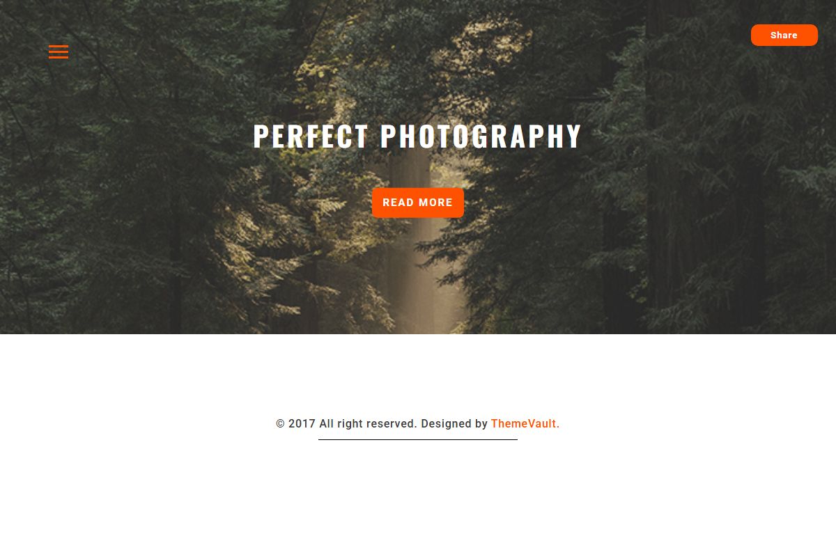 Perfect Photography