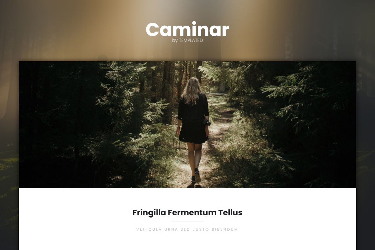 Caminar By Templated